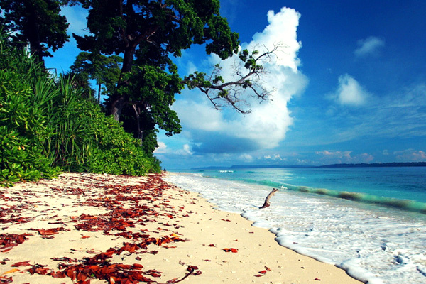 Best of Andaman